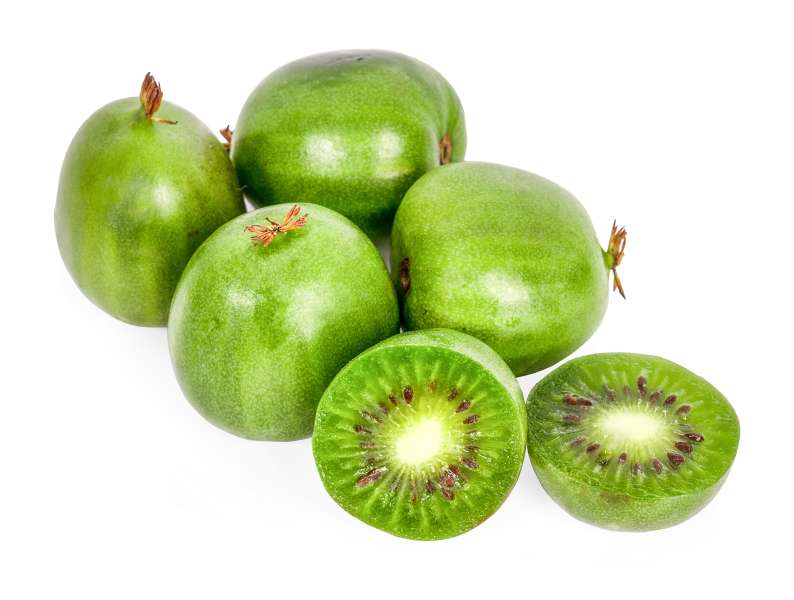 POBIERANIE
